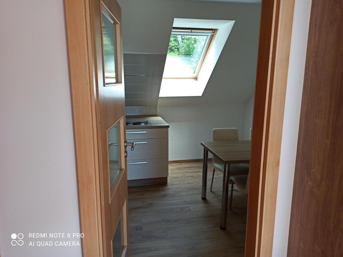 Apartma Na Lipne Apartment Horní Planá Екстериор снимка